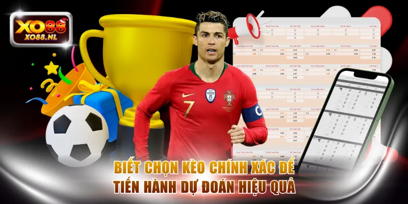 Thể Thao Online Là Gì? Bí Quyết Chơi Hiệu Quả Nhất Tại XO88 - Treasure89