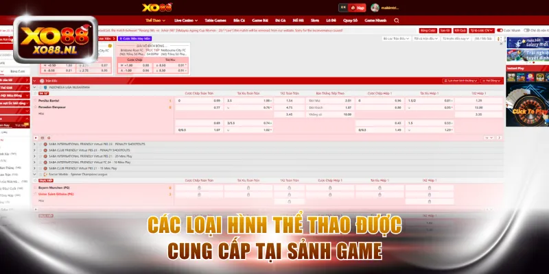 Thể Thao XO88 - Sân Chơi Cá Cược Siêu Hấp Dẫn Năm 2026 - Treasure89