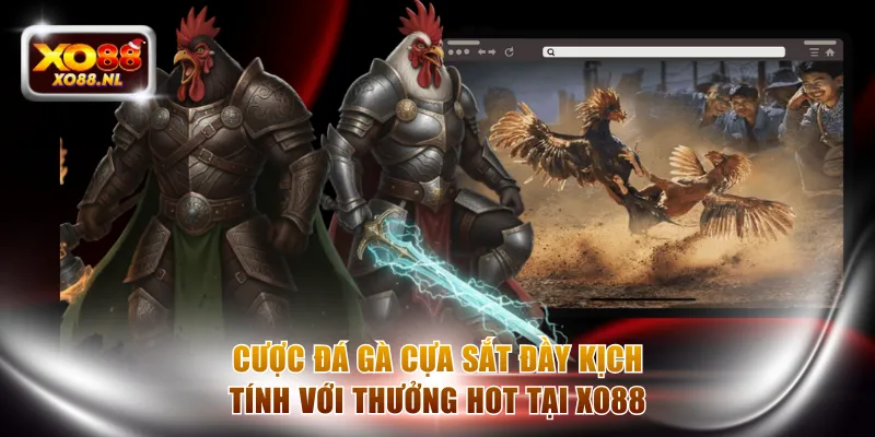 Đá Gà XO88 - Soi Kèo Chuẩn Để Nhận Thưởng Siêu Lợi Nhuận - Treasure89