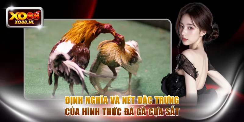 Cược Đá Gà Cựa Sắt Đầy Kịch Tính Với Thưởng Hot Tại XO88 - Treasure89