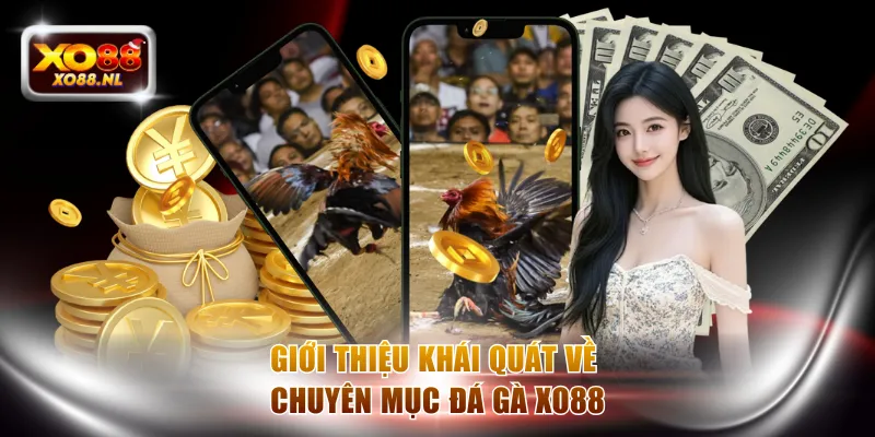 Đá Gà XO88 - Soi Kèo Chuẩn Để Nhận Thưởng Siêu Lợi Nhuận - Treasure89