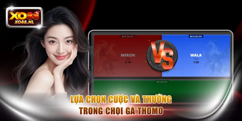 Chọi Gà Thomo Với Các Quy Tắc Bất Di Bất Dịch Tại XO88 - Treasure89