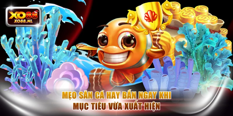 Mẹo Săn Cá Hay Tối Ưu Chiến Thuật Săn Thưởng Dài Hạn - Treasure89