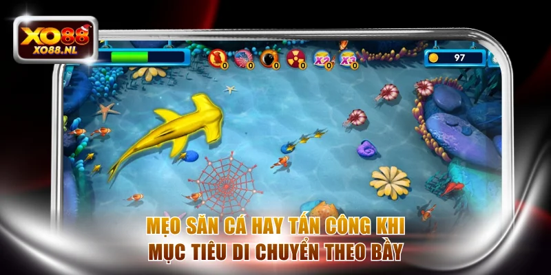 Mẹo Săn Cá Hay Tối Ưu Chiến Thuật Săn Thưởng Dài Hạn - Treasure89