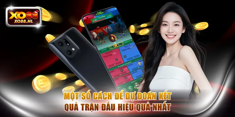 Đá Gà XO88 - Soi Kèo Chuẩn Để Nhận Thưởng Siêu Lợi Nhuận - Treasure89