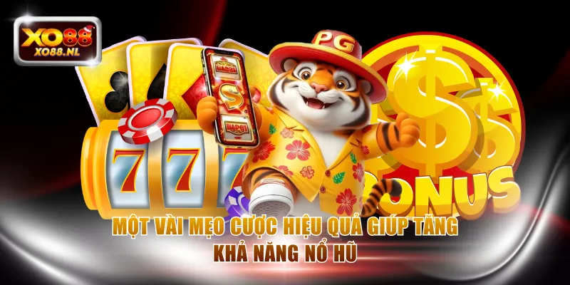 Nổ Hũ Mèo Chiêu Tài - Siêu Phẩm Tại XO88 Dành Cho Người Mới - Treasure89