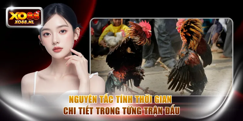 Chọi Gà Thomo Với Các Quy Tắc Bất Di Bất Dịch Tại XO88 - Treasure89