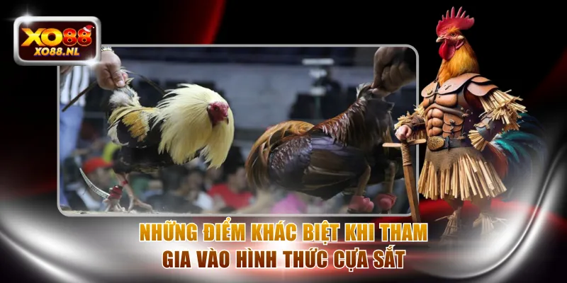 Cược Đá Gà Cựa Sắt Đầy Kịch Tính Với Thưởng Hot Tại XO88 - Treasure89